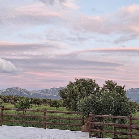 Agriturismo Pira Pinta Доргали Экстерьер фото