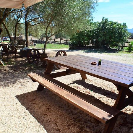 Agriturismo Pira Pinta Доргали Экстерьер фото