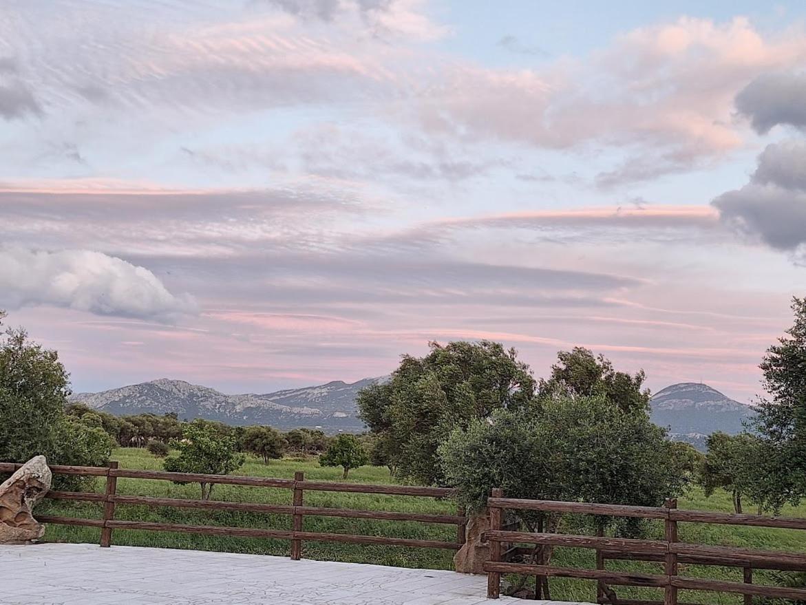 Agriturismo Pira Pinta Доргали Экстерьер фото