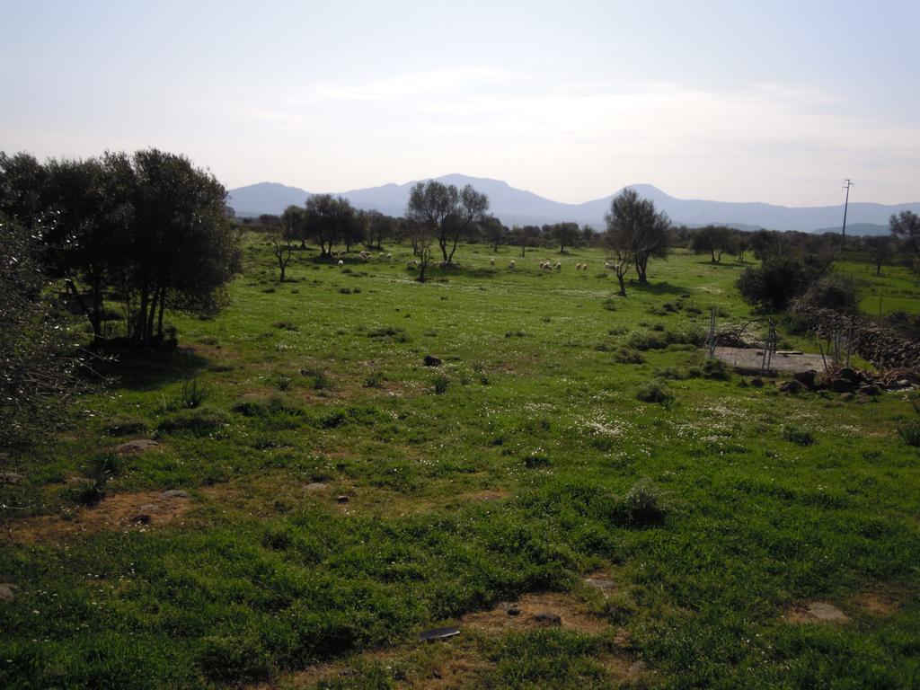 Agriturismo Pira Pinta Доргали Номер фото
