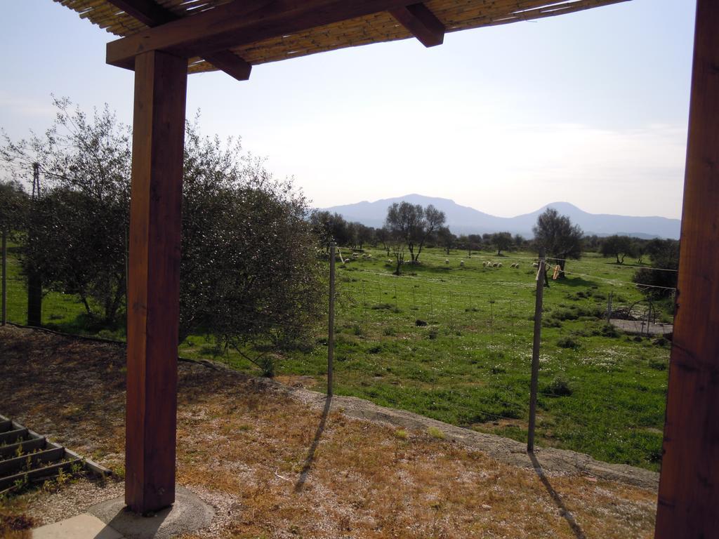 Agriturismo Pira Pinta Доргали Экстерьер фото