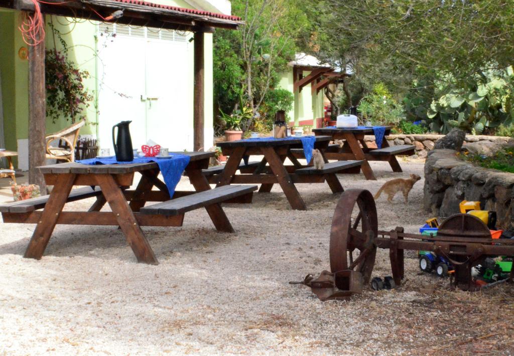 Agriturismo Pira Pinta Доргали Экстерьер фото