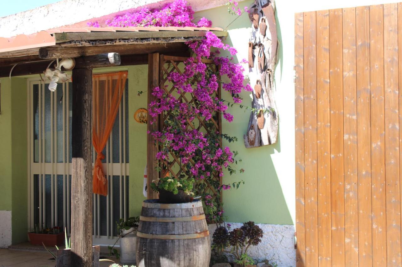 Agriturismo Pira Pinta Доргали Экстерьер фото